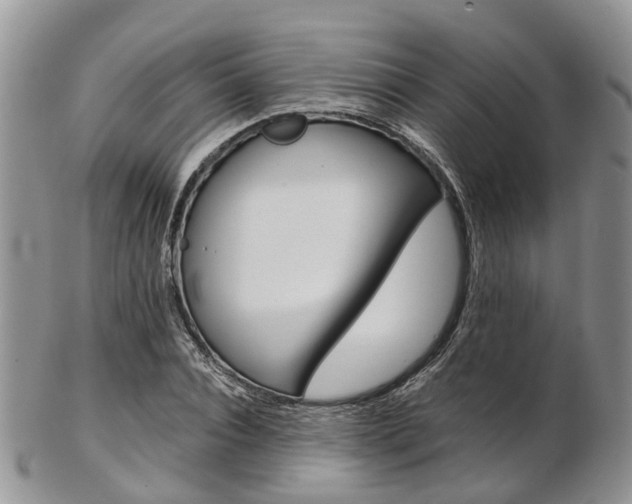 X0000103140928200808221101