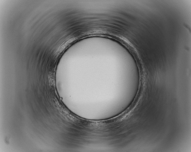 X0000103140929200808221101