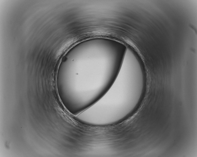 X0000103140930200808221101