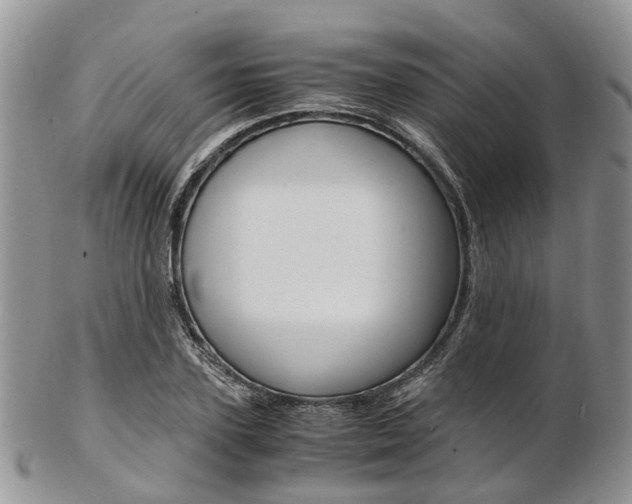 X0000103140931200808221101