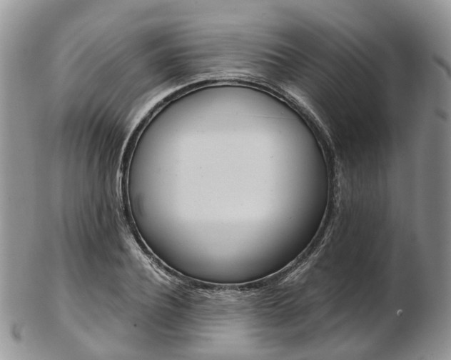 X0000103140932200808221101