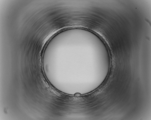X0000103140933200808221101