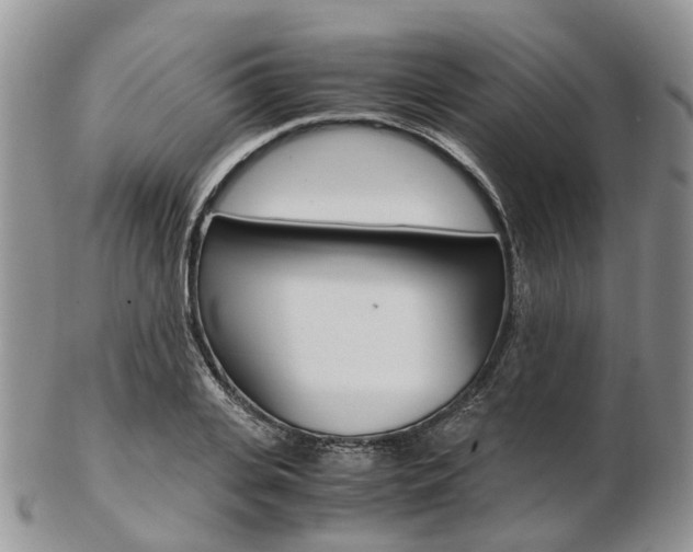 X0000103140935200808221101