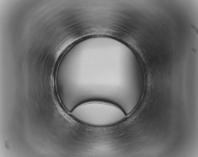 X0000103140936200808221101