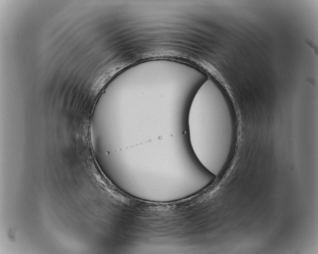 X0000103140937200808221101