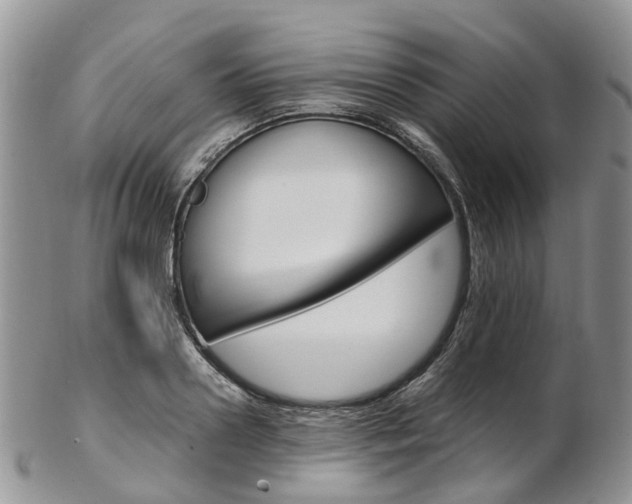 X0000103140938200808221101