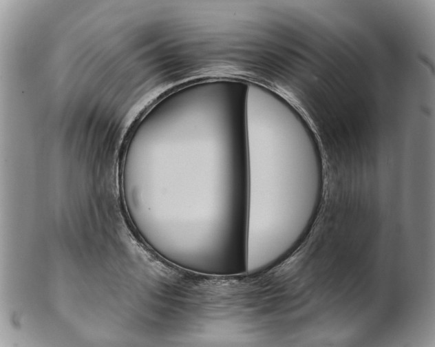 X0000103140939200808221101