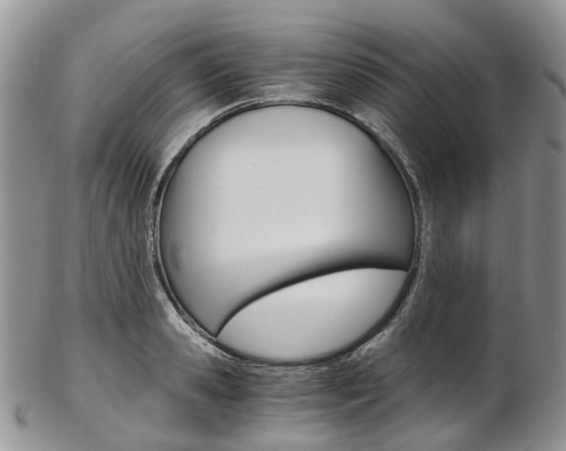 X0000103140941200808221101