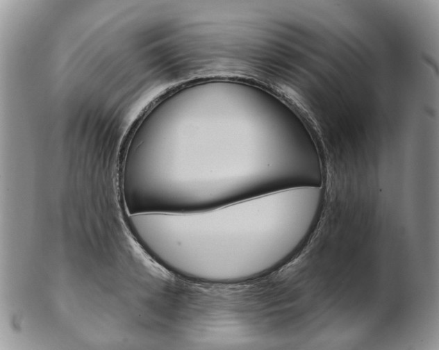 X0000103140942200808221101