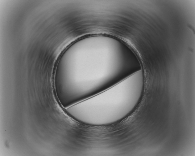 X0000103140943200808221101