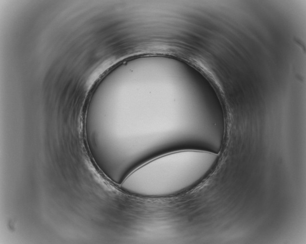 X0000103140944200808221101