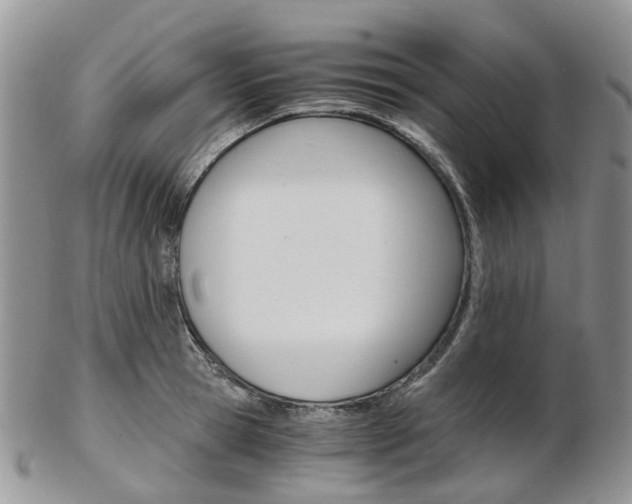 X0000103140945200808221101