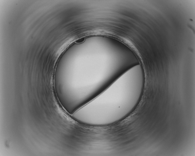 X0000103140946200808221101