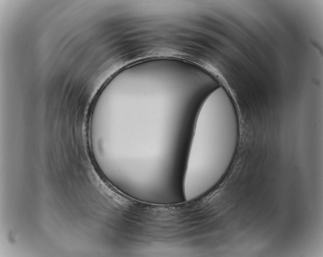 X0000103140947200808221101