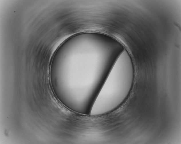 X0000103140948200808221101