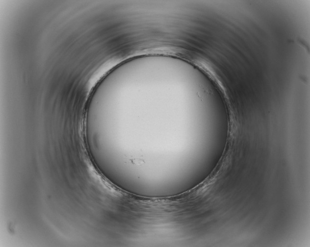 X0000103140952200808221101