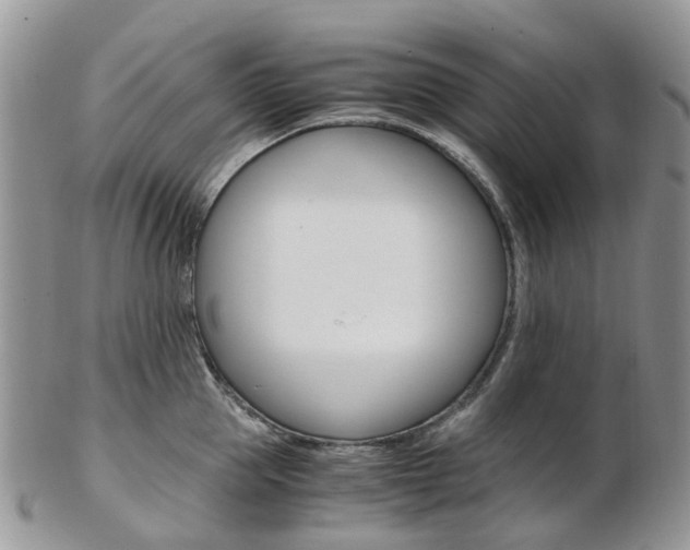 X0000103140953200808221101