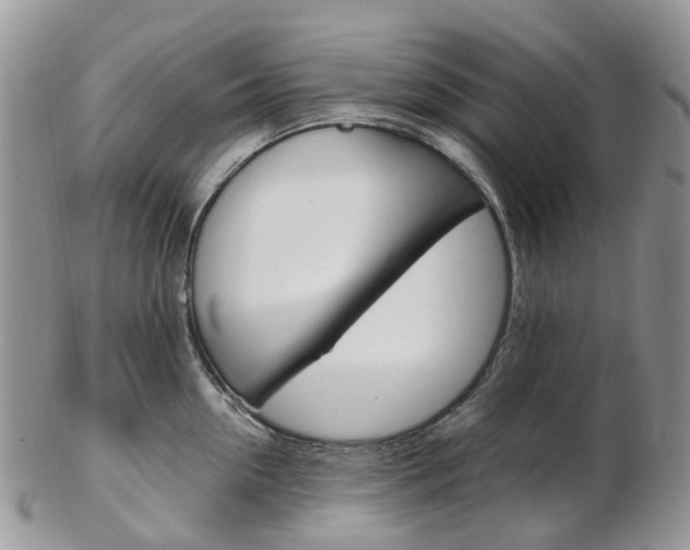 X0000103140954200808221101