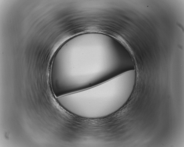 X0000103140955200808221101