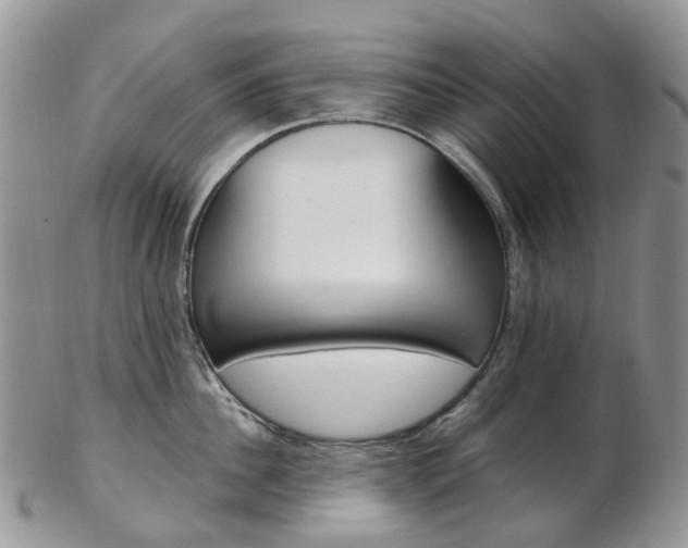 X0000103140956200808221101