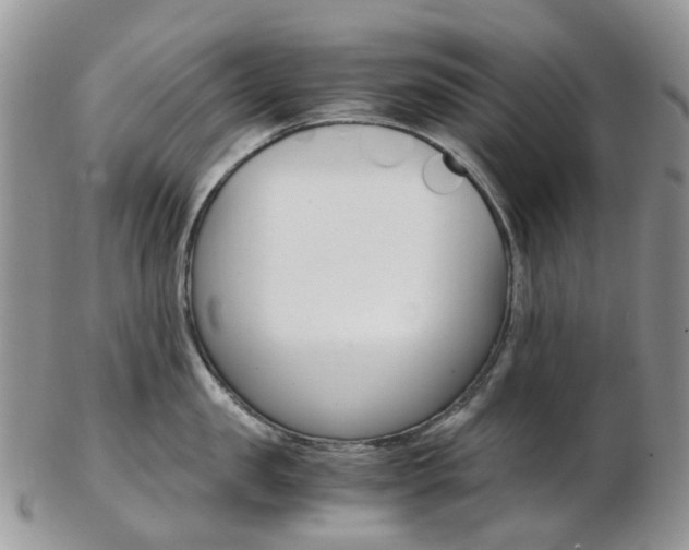 X0000103140957200808221101