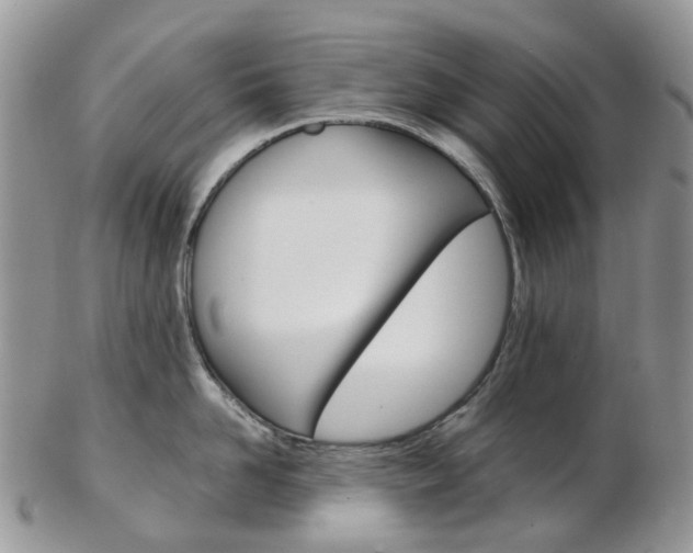 X0000103140958200808221101