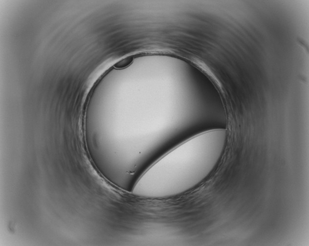 X0000103140959200808221101
