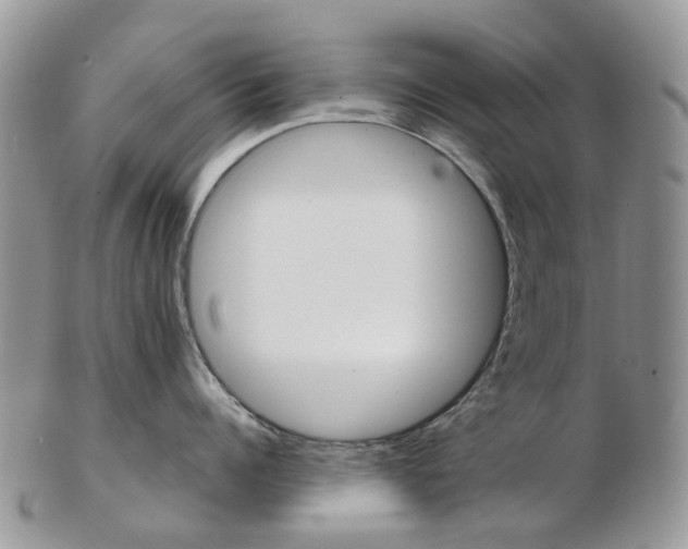 X0000103140960200808221101