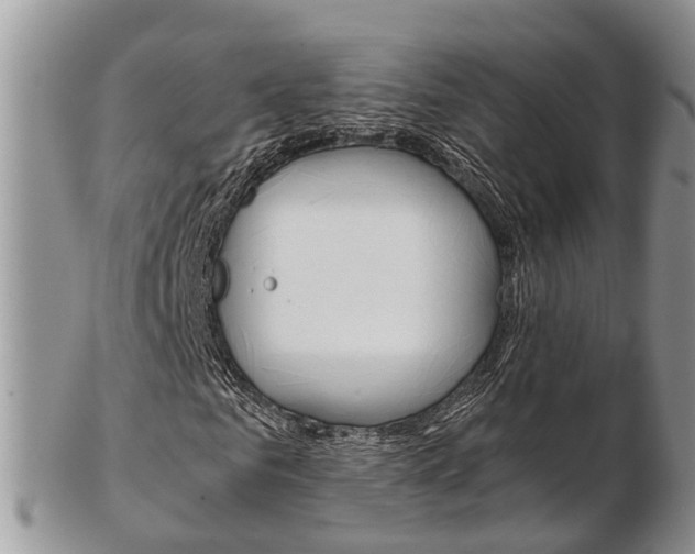 X0000103140961200808221100