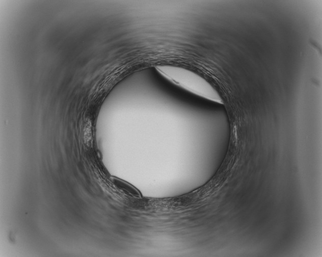 X0000103140963200808221100