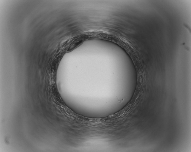 X0000103140965200808221100