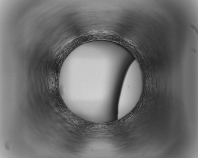 X0000103140966200808221100