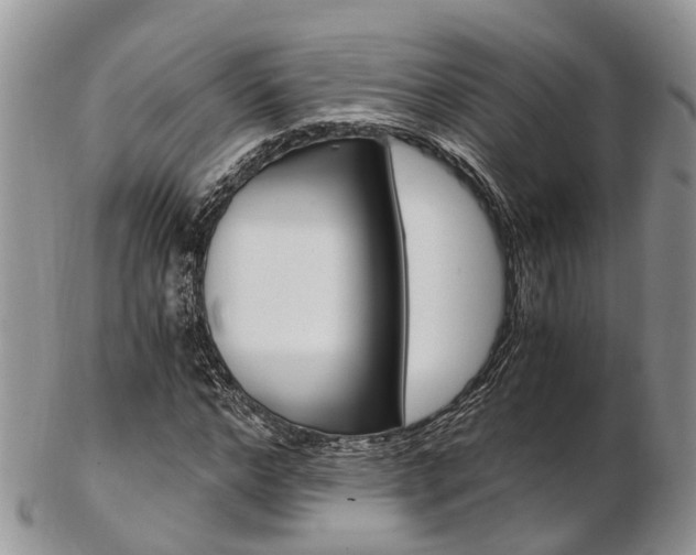 X0000103140968200808221100