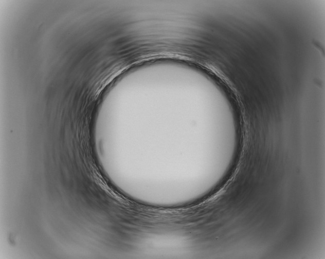 X0000103140969200808221100