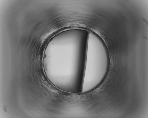 X0000103140971200808221100