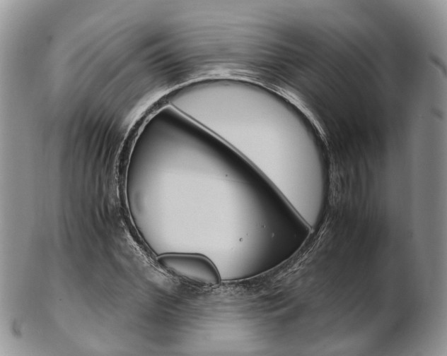 X0000103140972200808221100