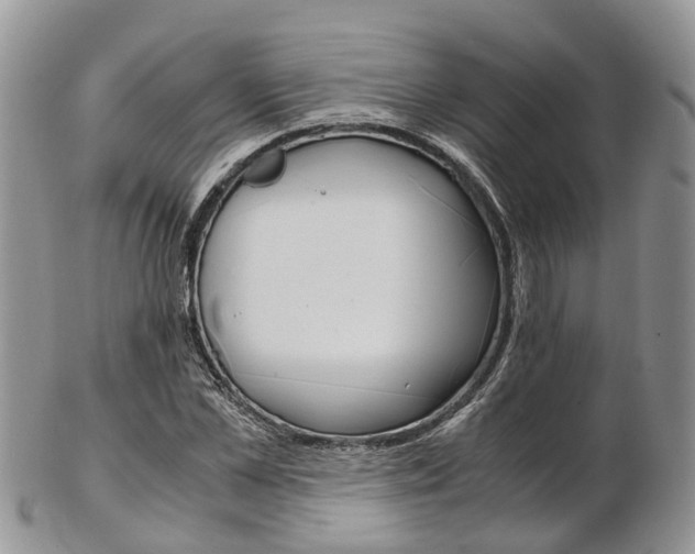 X0000103140973200808221100