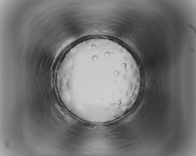 X0000103140974200808221100