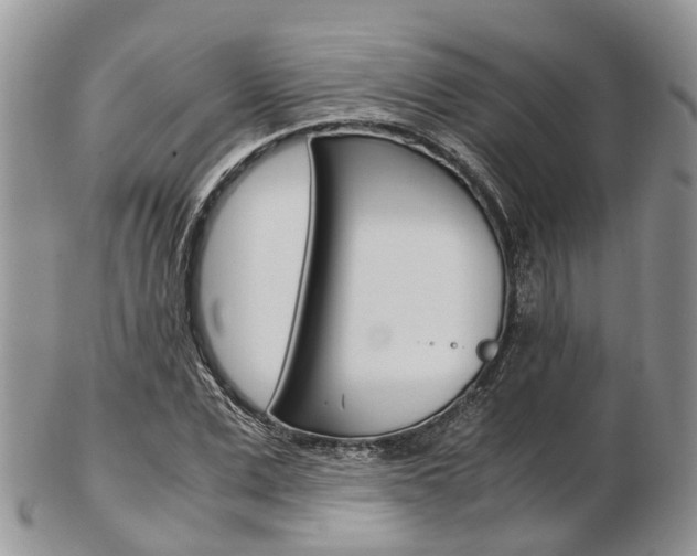 X0000103140975200808221100