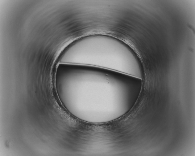 X0000103140976200808221100
