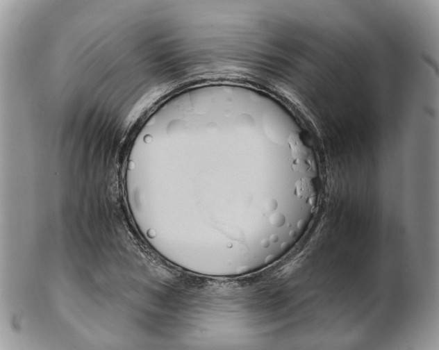 X0000103140978200808221100