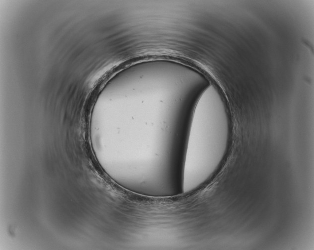 X0000103140979200808221100