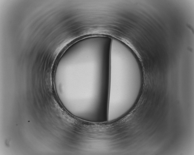 X0000103140980200808221100