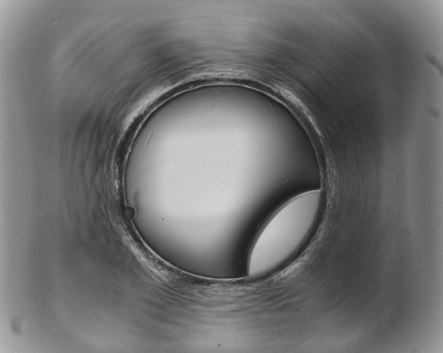 X0000103140981200808221100