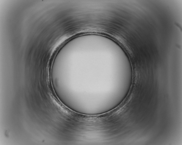 X0000103140982200808221100