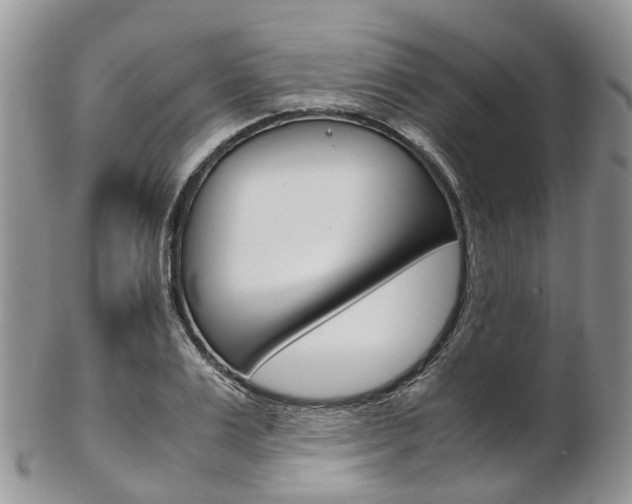 X0000103140983200808221100