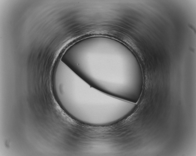 X0000103140984200808221100