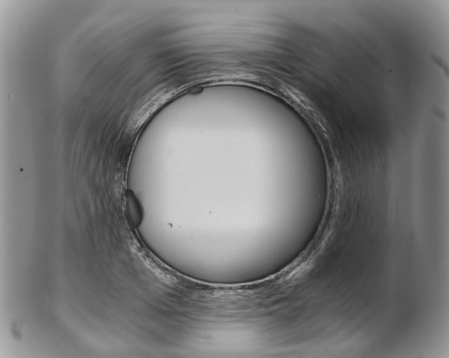 X0000103140985200808221100