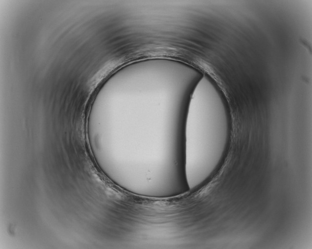 X0000103140986200808221100