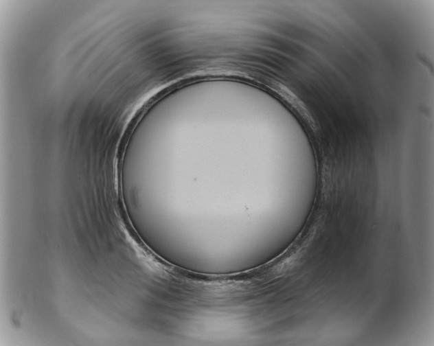 X0000103140988200808221100